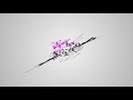 Уроки After Effects (videosmile.ru) Уроки After Effects (videosmile.ru)