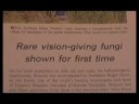 Manna - psilocybin mushroom documentary