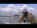 Jig head Cioba fisgado com o Camarão Artificial Flex (Pesca Esportiva) Fishing