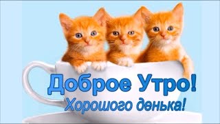 Доброе Утро! Красивое Пожелание Доброго Утра.