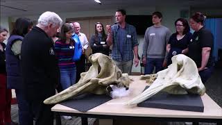 SMASS & WDC Marine Forum 2019 - Workshops Wander