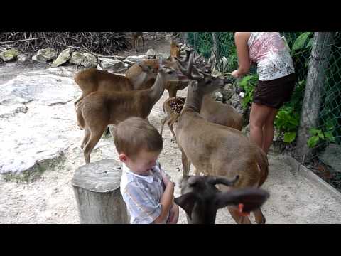Cancun Zoo