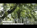 Adam Oland - Moodaka (Ad Brown Remix)