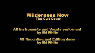 Watch Cult Wilderness Now video