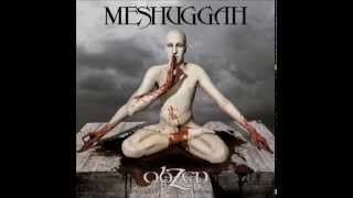 Watch Meshuggah Pineal Gland Optics video