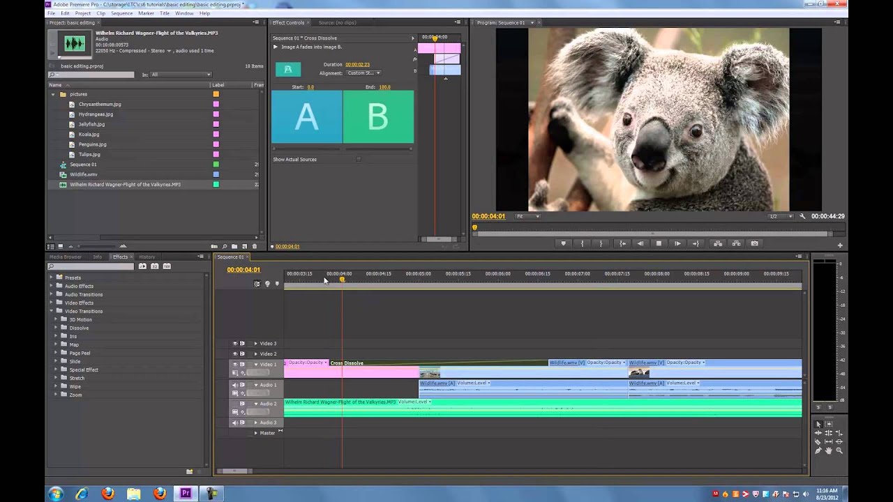 adobe premiere pro cs6 download and crack