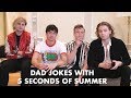 Dad Jokes with 5 Seconds Of Summer Mp3