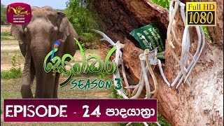 Sobadhara - Sri Lanka Wildlife Documentary | 2019-08-30 |Padayathra