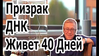 Фантом - Призрак Днк Живет 40 Дней Открытие Петра Гаряева.