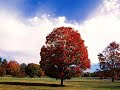 Blessed be the Lord God Almighty, by Maranatha Music SONG LYRICS;