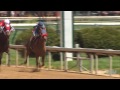 jockey