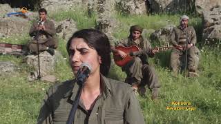 Konsera Koma Awazên Çiya Sterk Tv Zindi, Canli Live Kurdî Kurmancî Soranî