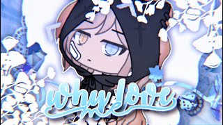 Why Love Me Gacha Life Meme Elsie
