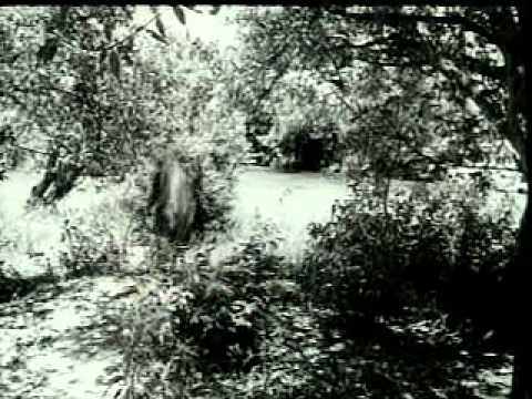 Aajare pardesi-Lata ji-Madhumati(1958)