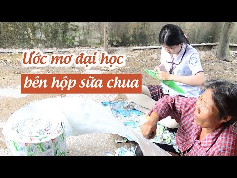Nữ sinh nghèo tách vỏ hộp sữa chua nuôi ước mơ vào đại học | báo thanh niên Nữ sinh nghèo tách vỏ hộp sữa chua nuôi ước mơ vào đại học | báo thanh niên