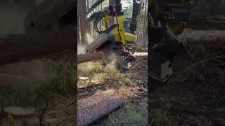 How Does The Harvester 1270G Process Trees #Harvester #Johndeere #Viral #Tree #Love #Wood #Farming