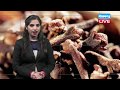 लौंग के फायदे Health Benefits Of Cloves | Long Ke Fayde In Hindi - Helps In Digestion