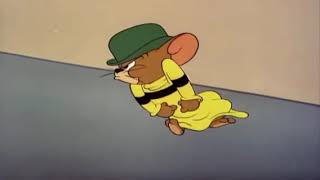 Tom And Jerry Afsomali