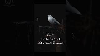 Janam Fida Hyderi Hazrat Ali