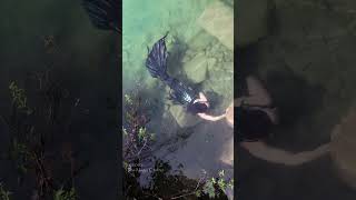 Dark Mermaid Swimming Upstream In A River In Michigan
