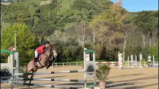 Cloe Carpino & Comet Chester Nella B100