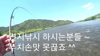 남한강 누치낚시(시원한 여울소리 감상하세요)