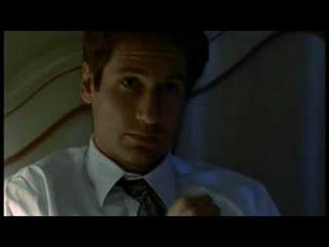  David Duchovny as Agent Fox Mulder Gillian Anderson as Agent Dana Scully