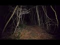 4K・Walking at night in Aokigahara forest (no pranks, not scary. ASMR?)