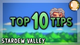 Stardew Valley Top 10 Tips for All Players