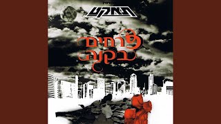 פרחים בקנה Instrumental