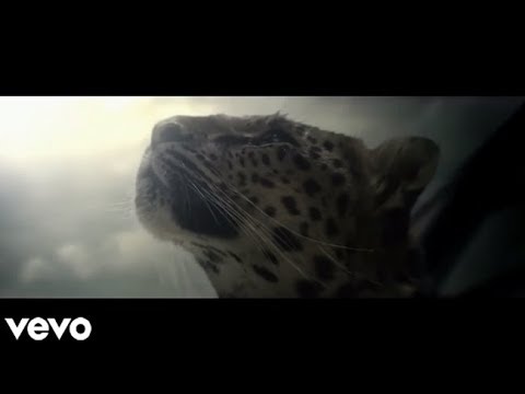 Chasing Shadows - Shakira (Music Video - 2014)