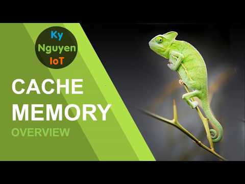 Kiến trúc máy tính: Bộ nhớ đệm - Phần 1: tổng quan (cache memory overview)