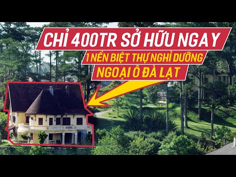 Đất nền ngoại ô Đà Lạt giá rẻ dưới 500 triệu chỉ 400 triệu một nền biệt thự đồi thông ngoại ô Đà Lạt
