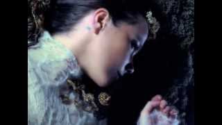 Watch Bjork Submarine video