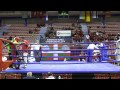 European Kickboxing Championship Low Kick semifinals