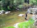 Sacando un bonito barbo en la sierra de Cordoba a mosca