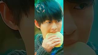 Korean Movie - A Werewolf Boy