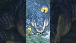 Top 3 Largest Crocodiles Ever Captured Number One Will Terrify You