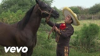 Video Mi Boleto Vicente Fernandez