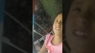 Graciosos Video De Gatos