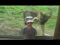 Cats are just the funniest pets ever - Funny cat compilation