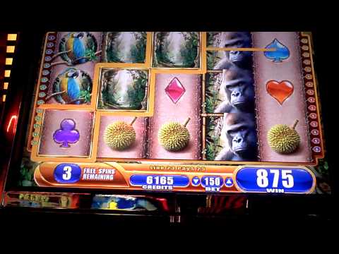 Fitzgerald slot machine