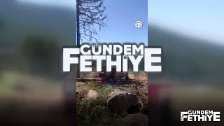 Kavaklıderedeki Yangın Kontrol Altına Alındı