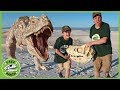 Giant T-Rex Dinosaur vs Park Rangers! Pretend Play Escape Adventure with Dinosaurs Toys for Kids