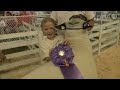 Iowa State Fair - The Big Animals