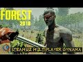 The Forest (2018) Steam Olmadan Multiplayer Oynama Güncel