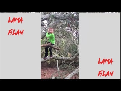 People Don't Know What They are Doing | Funny Fails Videos 2019 | #4