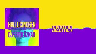 Dj Ferdi Özkan - Şizofren ( Audio)