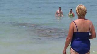 Tampa Bay Rays Visit Madeira Beach