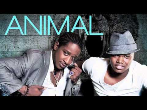 Animal - RIO